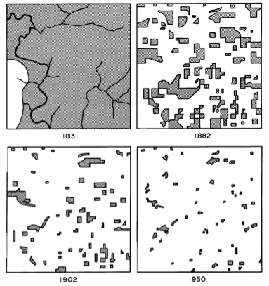 Curtis's map