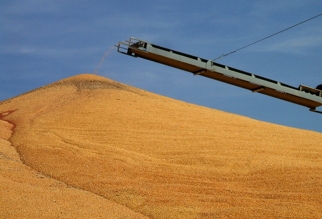 corn pile