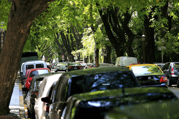 Street trees