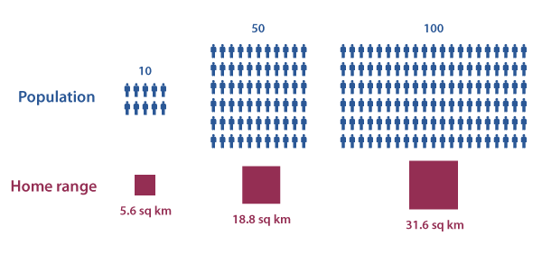 Hunter-gatherer population size and home range (updated)